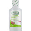 GUM ActiVital Bain de bouche 300ML La gamme GUM ActiVital permet de protéger vos gencives et vos dents